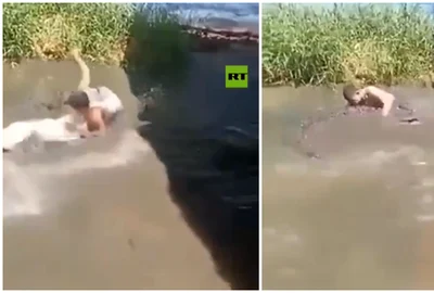 un crocodil a atacat un turist filipine foto x