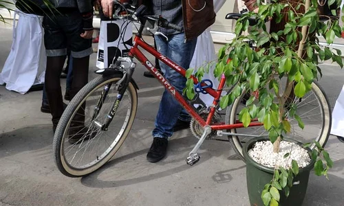 CLIIMA20120320 0042 1 jpeg