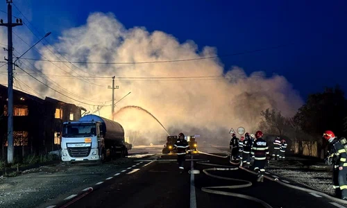 incendiu crevedia jpg