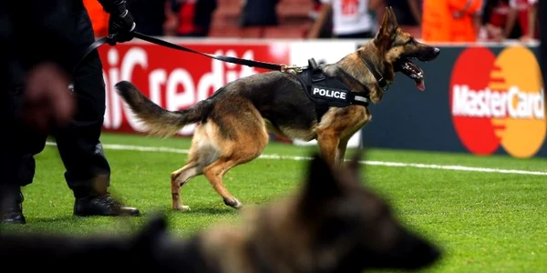 catel politie FOTO espnfc.com