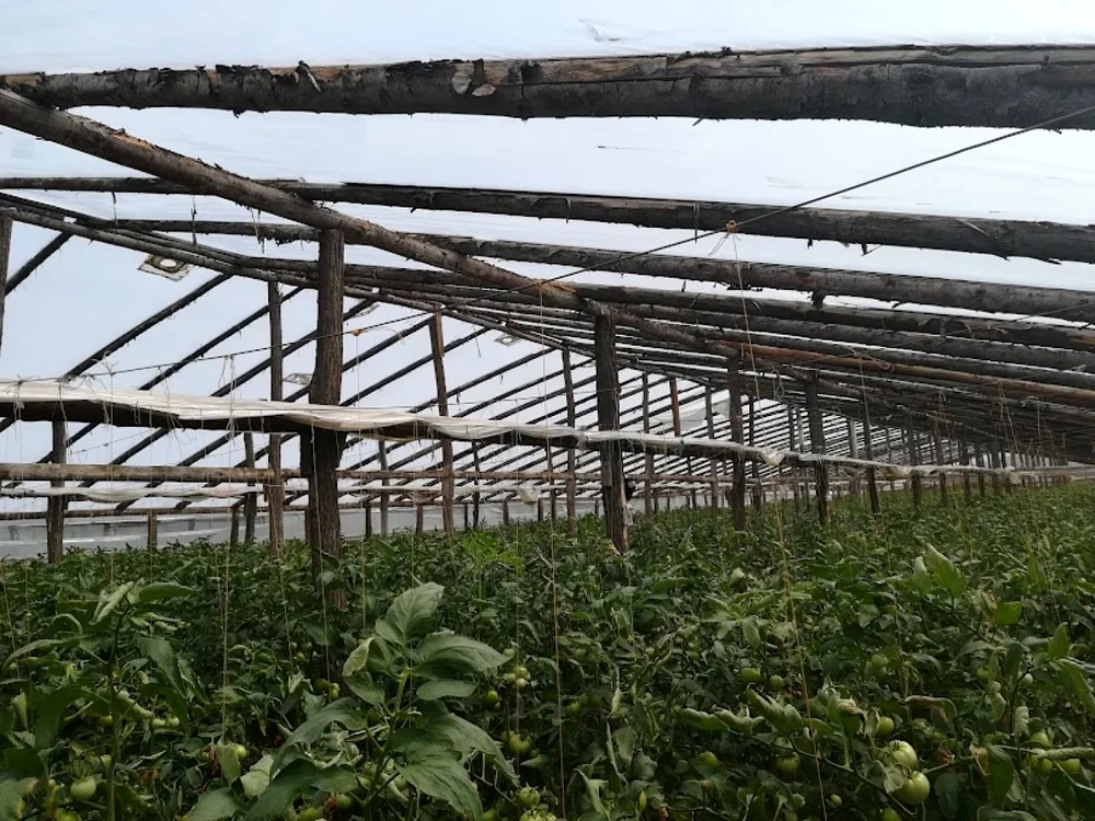 Solarii Matca, sursa: Arhivă
