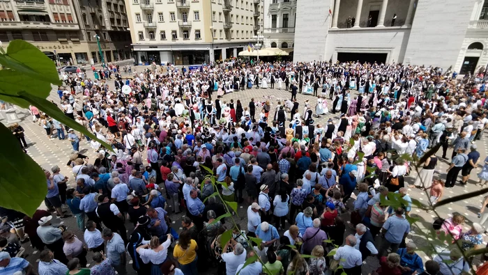 Parada șvabilor bănățeni FOTO Ștefan Both