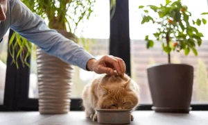 e16a63cf3bae685eb192e25fd72e3e1692 jpg