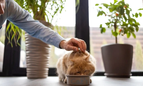 e16a63cf3bae685eb192e25fd72e3e1692 jpg