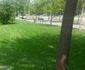 Parcul Alpinet inaugurare Timisoara FOTO Daniel Dancea