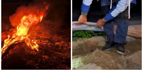 fermierii din sudul judetului dolj au aprins focuri pentru a proteja culturile de bruma   foto adevarul (5) jpeg