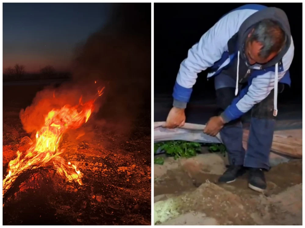 Comisia Europeană a acceptat solicitarea României de acordare a despăgubirilor pentru fermierii din sectoarele pomicol şi viticol. „Vor beneficia de 11,5 milioane EUR”,