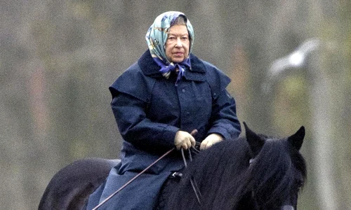 regina calare jpeg