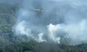 incendii vegetatie Caras Severin captura ISU jpg