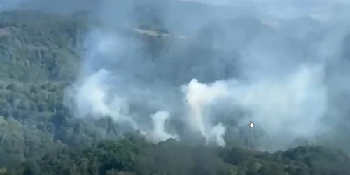 incendii vegetatie Caras Severin captura ISU jpg