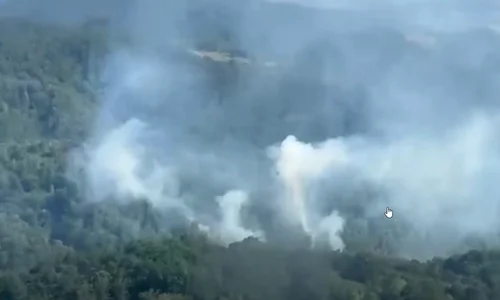 incendii vegetatie Caras Severin captura ISU jpg