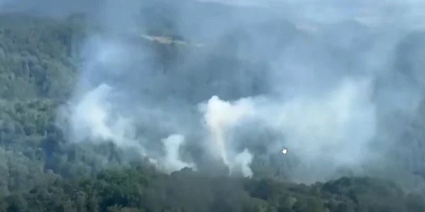incendii vegetatie Caras Severin captura ISU jpg