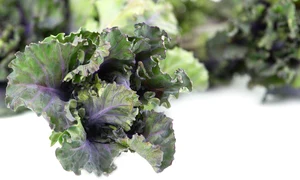 kalettes jpg