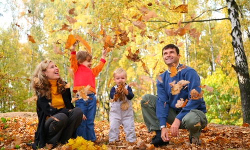 1 71203 original jpg jpeg