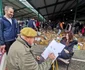 Caricaturistul Radu Clețiu în piața din Novi Sad FOTO Rod Festival