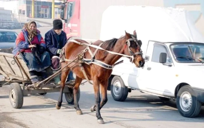 Femeia a fost condamantă la 9 ani de închisoare FOTO Arhivă