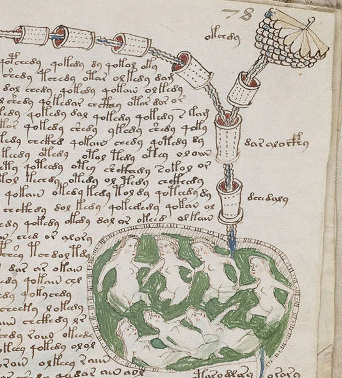 542px Voynich manuscript bathtub2 example 78r cropped jpg jpeg