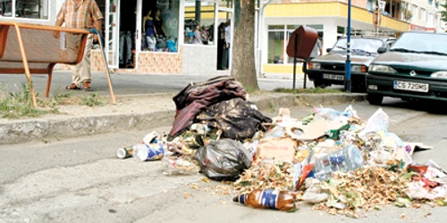 Resita: Mormanele de gunoi cuprind centrul Reşiţei
