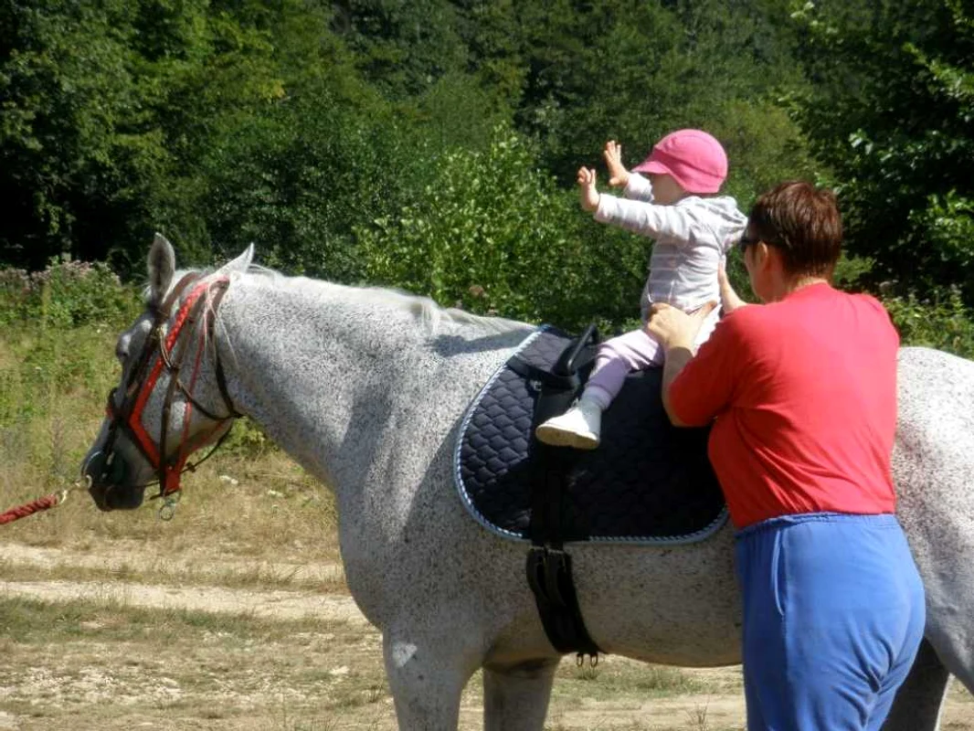terapie prin calarie baia mare