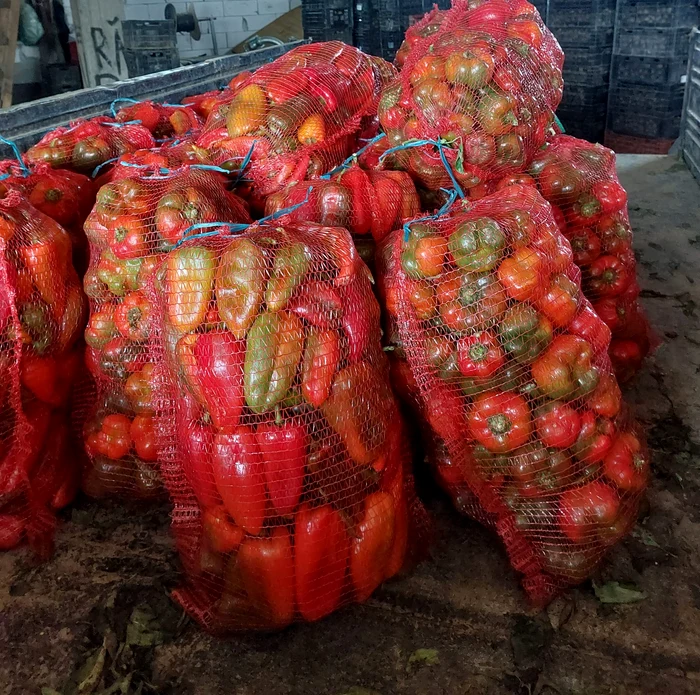 Producătorii de legume din Lungulețu au și la această dată gogoșari. FOTO  Ștefania Rădoi / Facebook