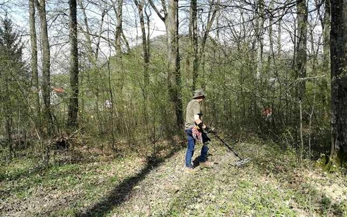 detectare bistrita