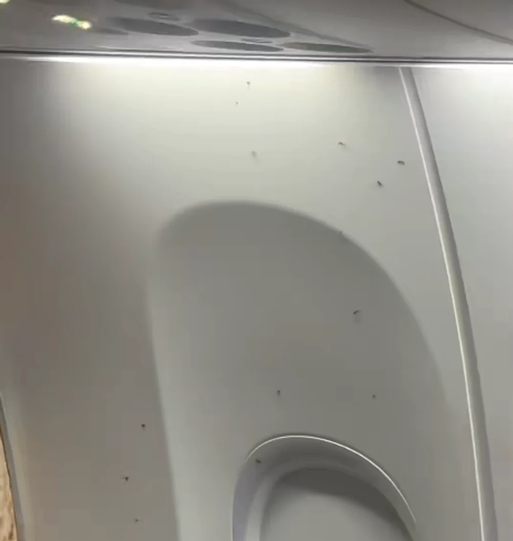Invazie de țânțari într-un avion Ryanair. Pasagerii au refuzat să mai zboare: „Am crezut că mă vor mânca de vie”