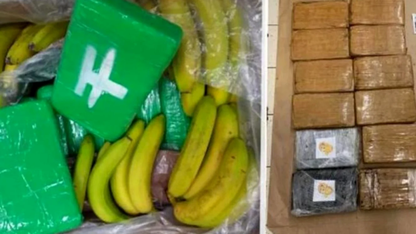 Bananele sosiseră din Ecuador / foto: praguemorning.cz