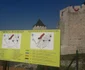 Cetatea Golubac FOTO Both