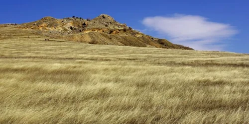 Deniz Tepe - dealul mare din Tulcea Sursa Facebook Deniz Tepe