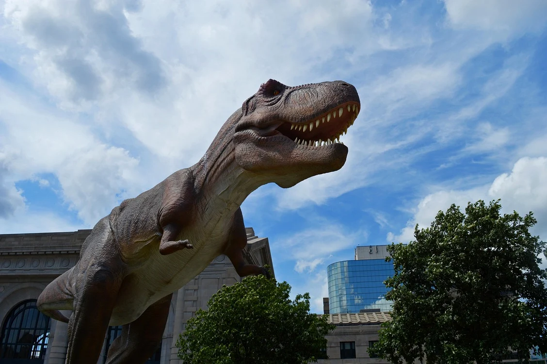 Crocodilii seamănă cu dinozaurii / FOTO: Pixabay