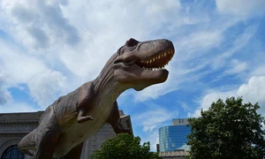 dinosaur 4564803 1280 jpg