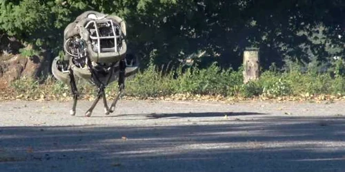 robot wildcat pentagon foto captura youtube/boston dynamics