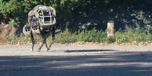 robot wildcat pentagon foto captura youtube/boston dynamics