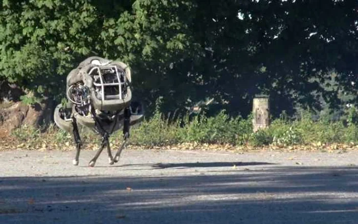 Robotul WildCat poate alerga cu circa 25 hm/h. FOTO Captură YouTube/Boston Dynamics
