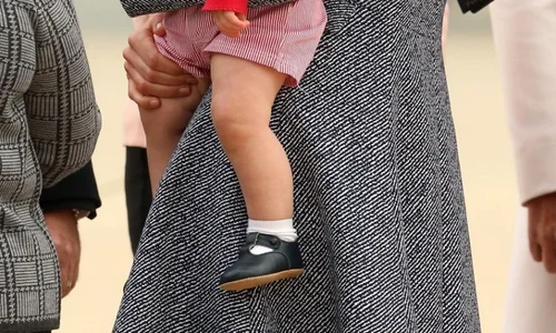 printul george486579251 jpeg