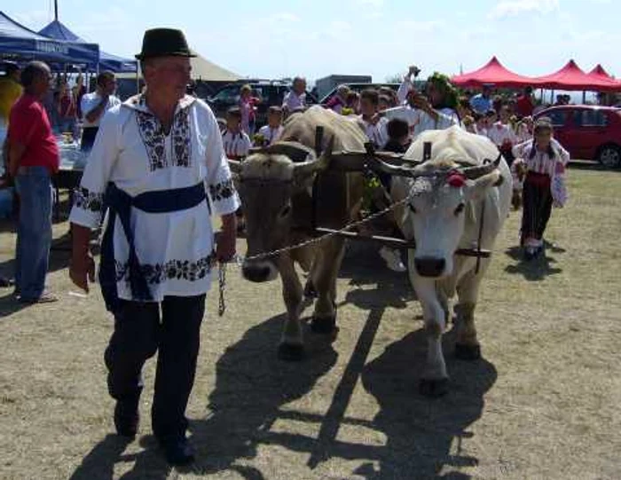 Ion Copaci este unul dintre producători buzoieni de vin, participanţi la Festivalul Tămâioasei  Foto: Iulian Bunilă.