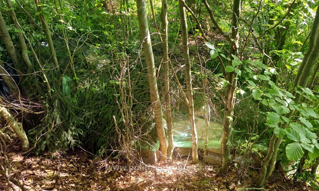  Țigări găsite ascunse în pădure Foto: Poliția de Frontieră