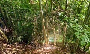 Țigări de contrabandă gasite ascunse în pădure Foto   Poliția de Frontieră 2 jpg