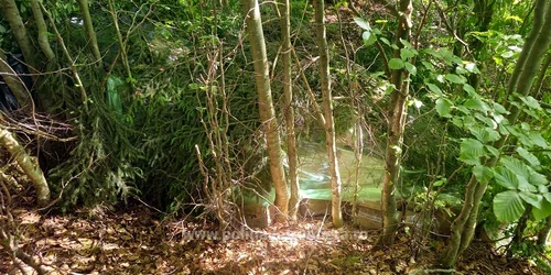 Țigări de contrabandă gasite ascunse în pădure Foto   Poliția de Frontieră 2 jpg