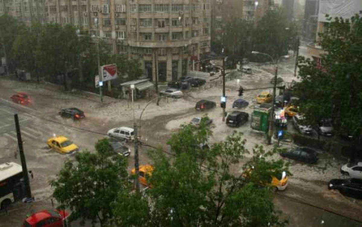 „Nimeni nu s-a obosit cu fundaţia. Nimeni nu a curăţat nămolurile grele ale trecutului”
