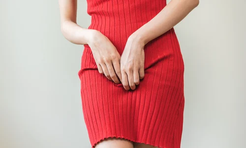 shutterstock 2502898627 jpg