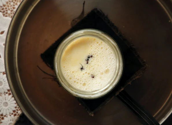 Foto: © Instagram / david_zilber