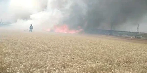 Incendiu într-un lan de grâu