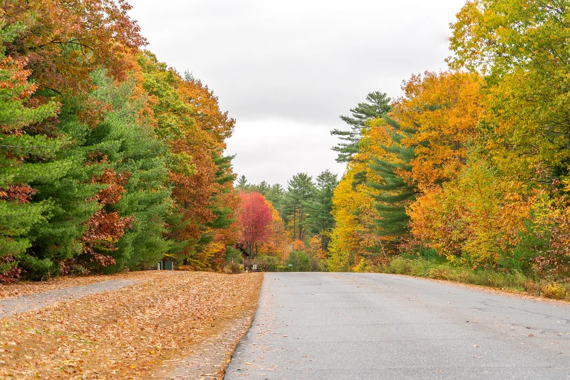 Imagine din Vermont, SUA / foto: Pixabay
