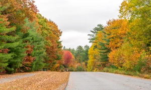 vermont 8984581 1280 jpg