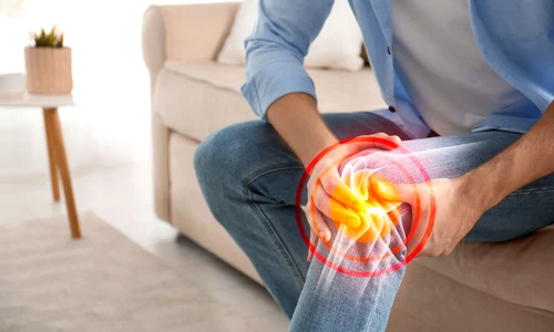 shutterstock 1765999304 jpg