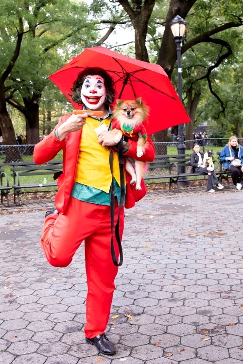 Joker și Harley Quinn (Foto: Profimedia)