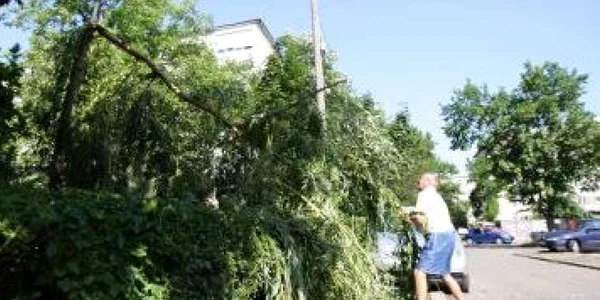 Bacău: O șarpantă și mai mulți copaci, smulși de vijelie