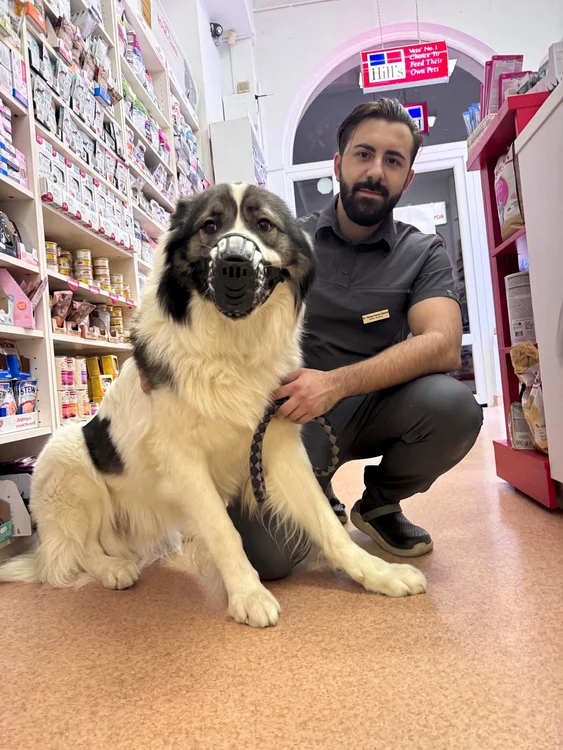 Medic veterinar Darius Gabriel Tănase. Foto: arhiva personală.