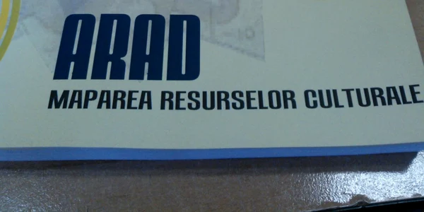 mapare arad